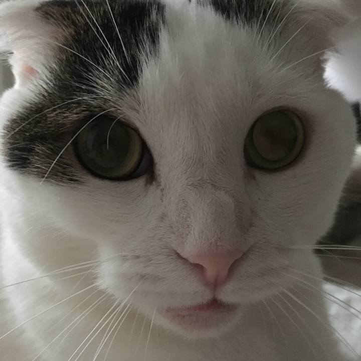 F496a71c 8d91 4e01 b315 b2be65113b99