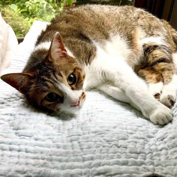 F496f3ee c327 400a a62f 72e1b194928b