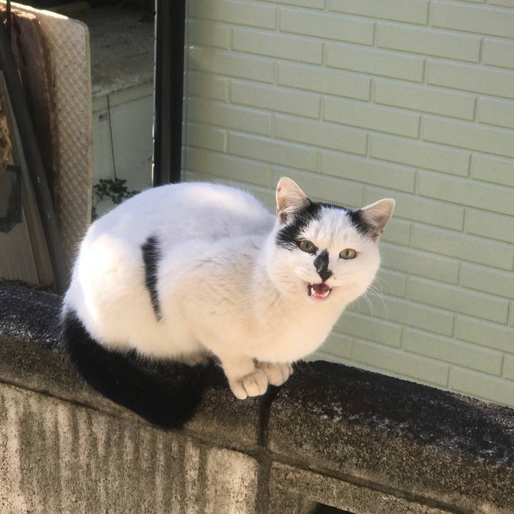 F497a6f3 f5d8 4800 aa41 2532f2044aae