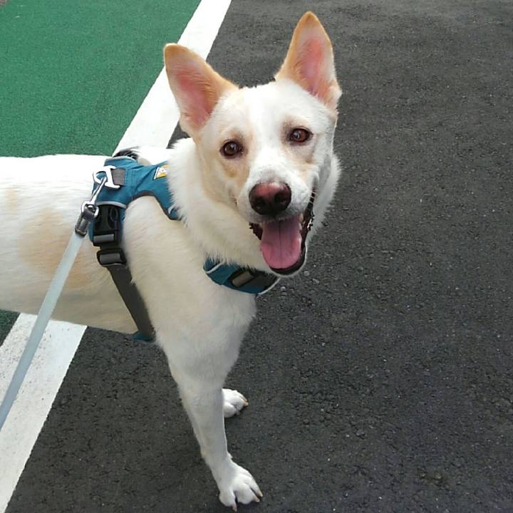 F497ad71 485f 4775 85e1 f20b025e8bb2