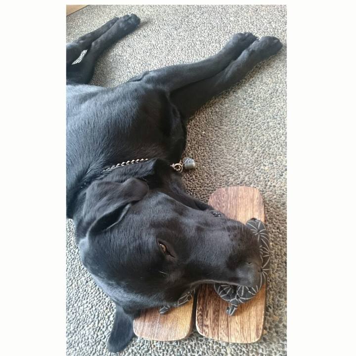 F497f476 ee2d 4db0 b5c9 f1f48235c1be