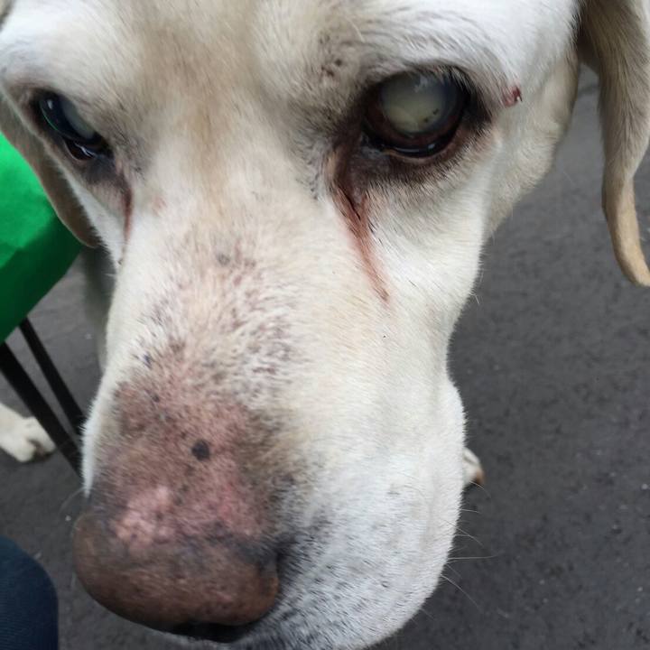 F4981626 5172 4f3a a800 e2b9786e1f36