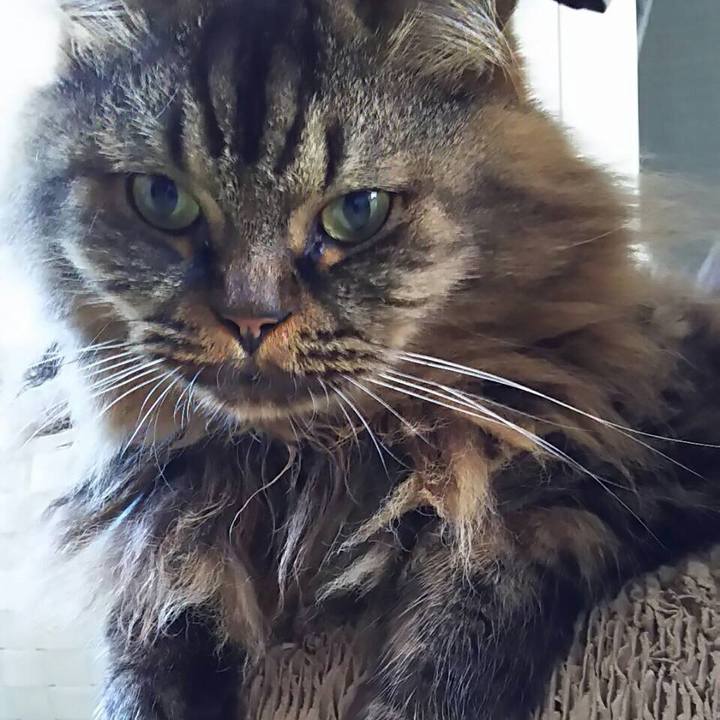 F498561b 505a 4141 9ce1 8ae379e7986e