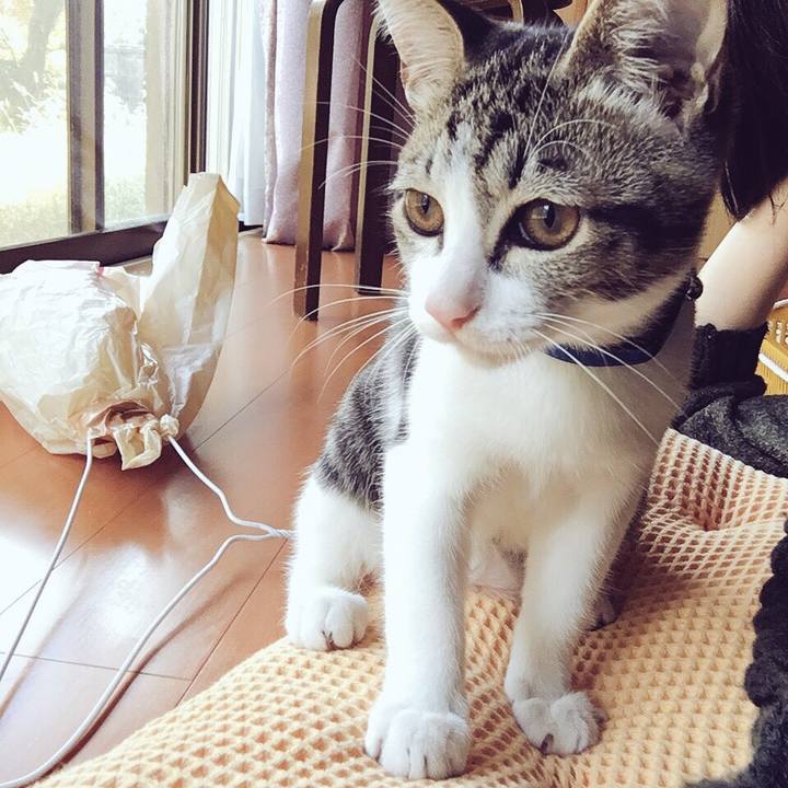 F4991d19 089e 4437 a2d7 8df4b7501e41