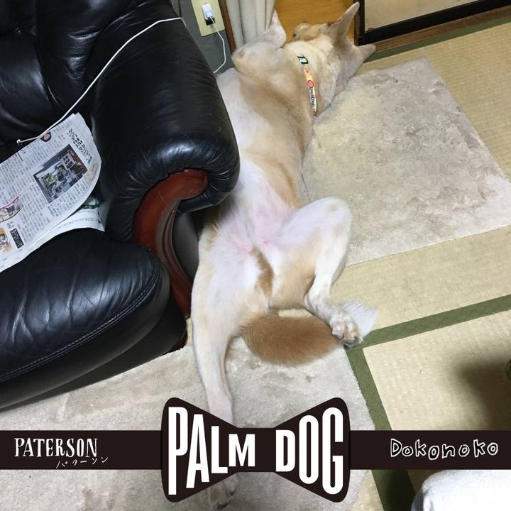 F49971ed f109 4735 8912 0a712f6c8572