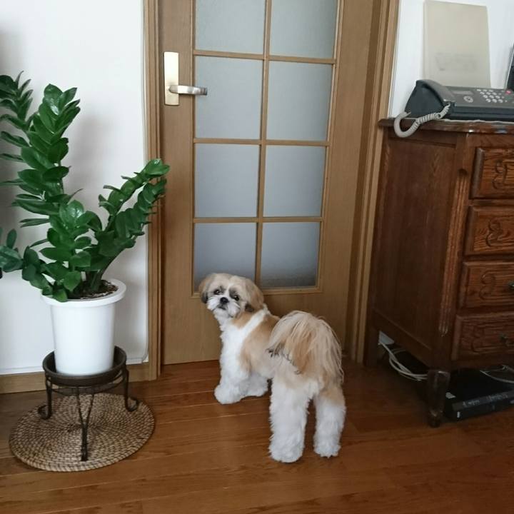 F49985f4 a3af 485c b75b 9ead0b75702f