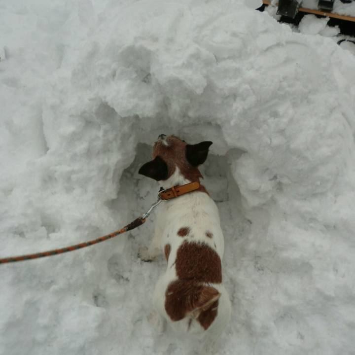 F49a0874 30bc 4787 bcc7 3e697c1d05aa