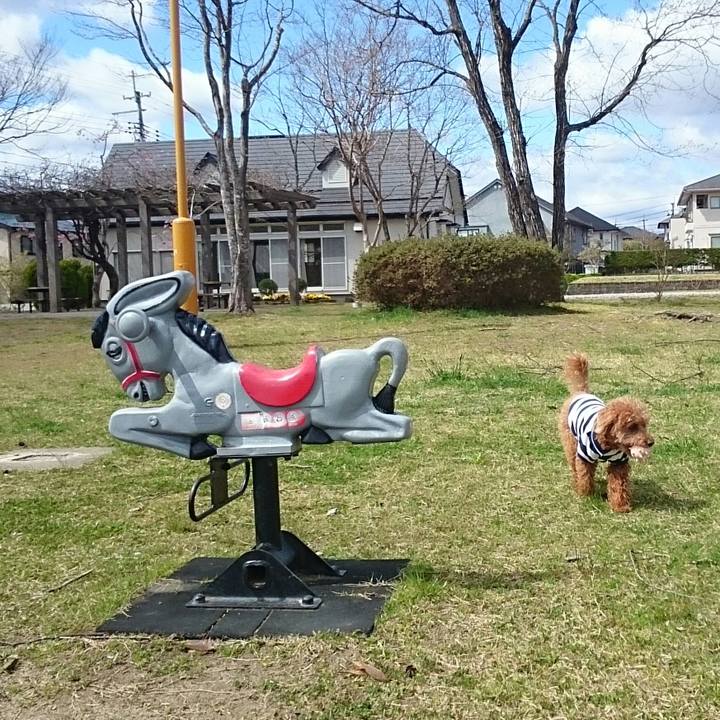 F49a0e00 a264 438b 8217 9aaee4646da0