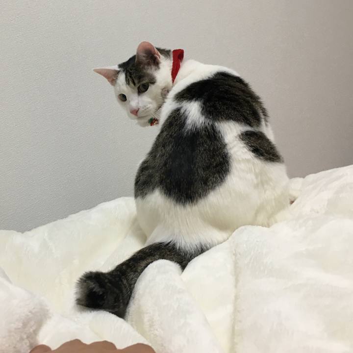 F49a4284 97eb 469c 8347 bc0c5c4ba82a