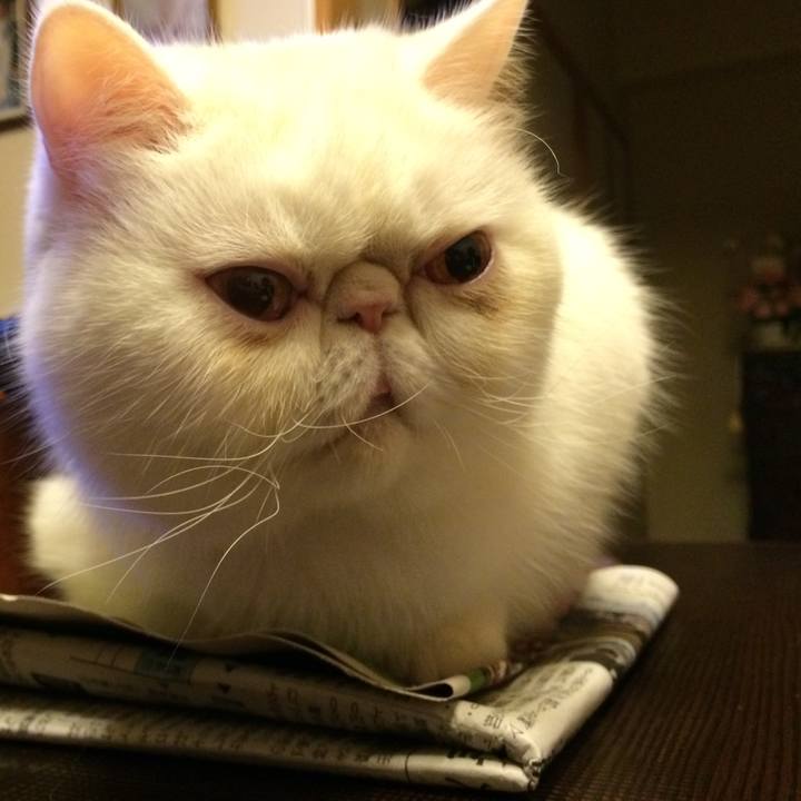 F49a468f 45b5 4f35 aa23 aef79c4b4261