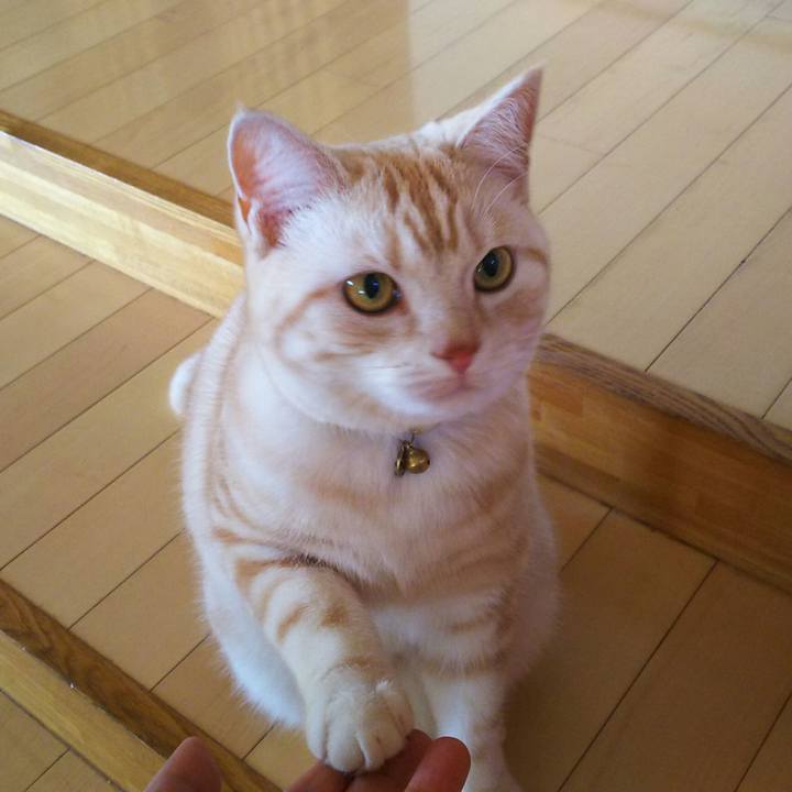 F49a98cb e32f 4707 92d1 9c64543de20e