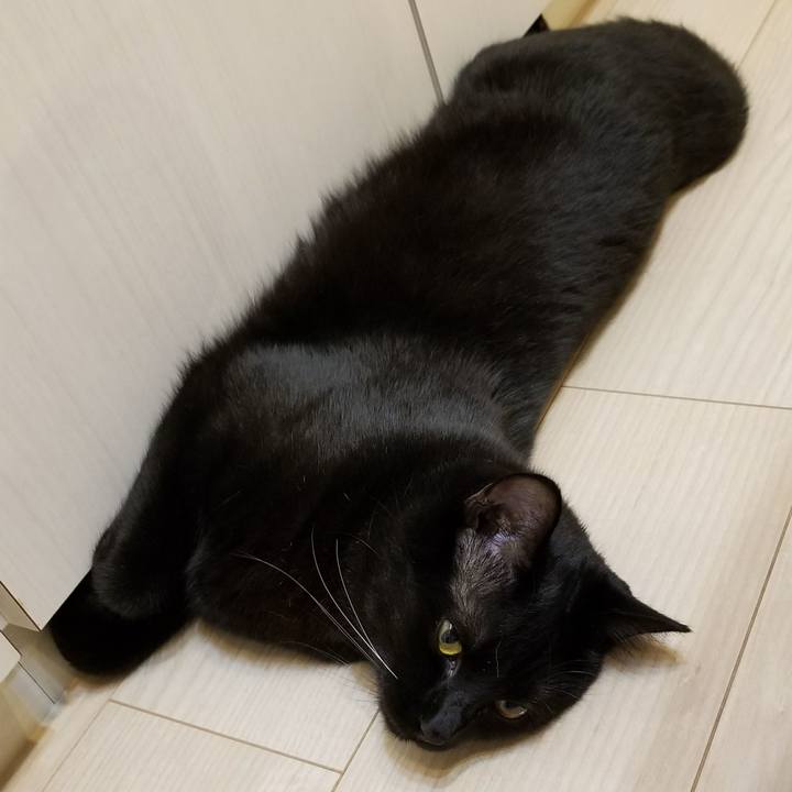 F49aa36c f304 4a1d baa2 be3a1de1a2e7