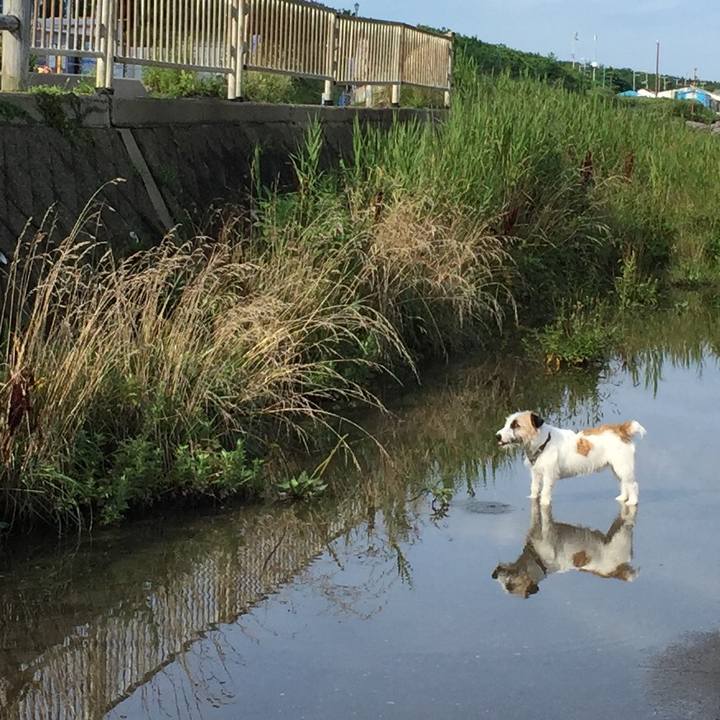 F49ab025 3c67 4f4d 9313 45e0e7cda557