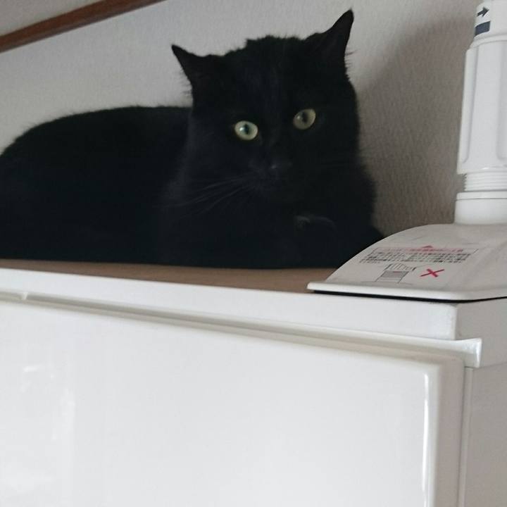 F49acab6 324b 4420 ad3d f4a95029b0c6