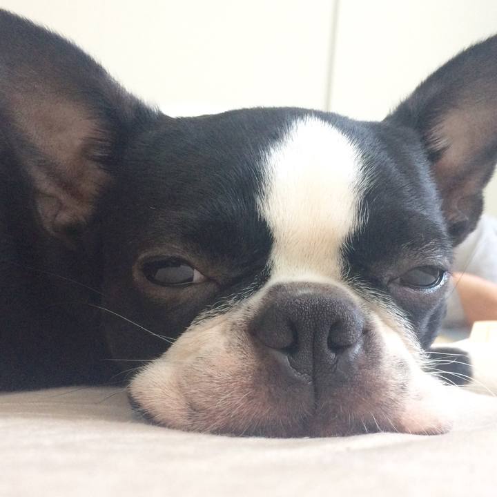 F49be5a6 82d2 4eed 9b06 274be00b2a91