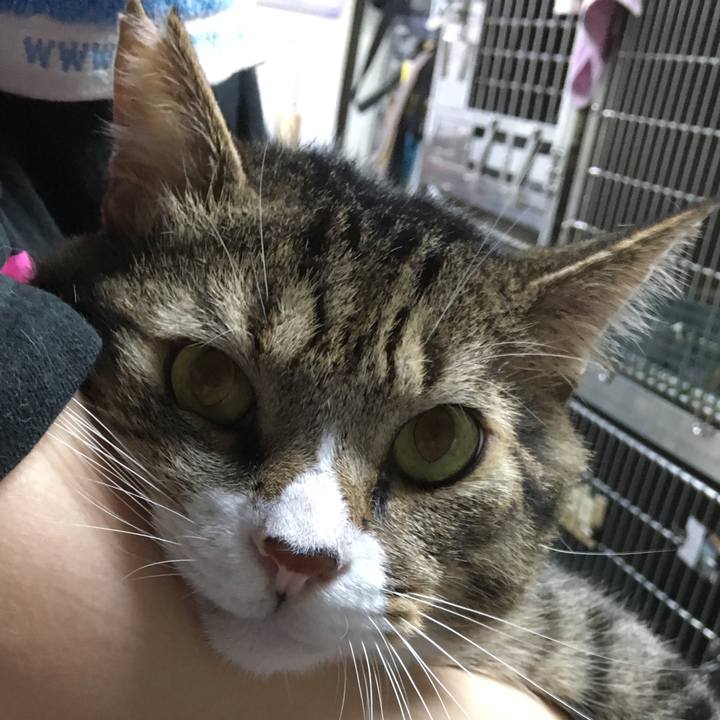 F49c2521 f9ae 407a a02b 59a3702d49d4