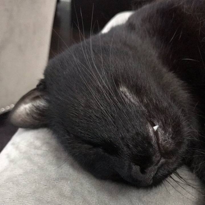 F49cb032 0b49 43e6 b38c 9a6e59b0292f