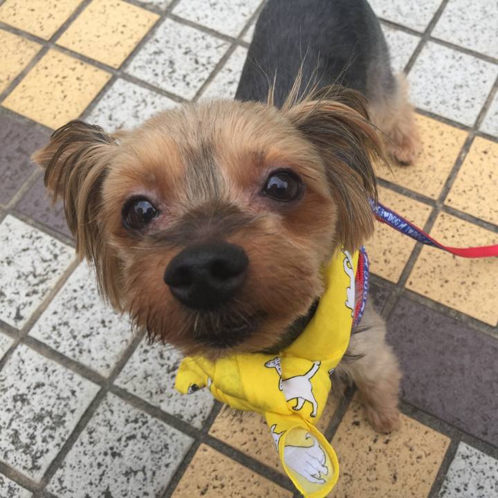 F49e068a 54e1 4a87 b446 7ae1403c14c5