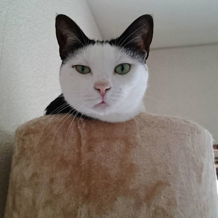 F49f48f7 30f9 45e1 8610 cef5167447ce