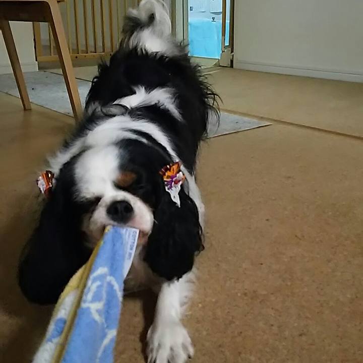 F49f844a 5cf9 4ea1 a6d1 d3e0b88495a7