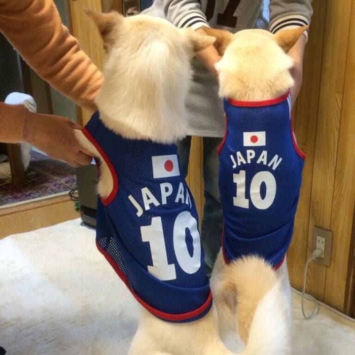 F4a101c5 de41 427d b164 8780e16de113