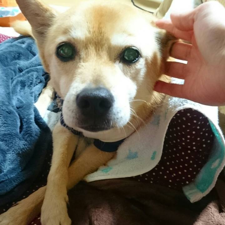 F4a137e4 95a6 44ce bfa7 db474089d52a