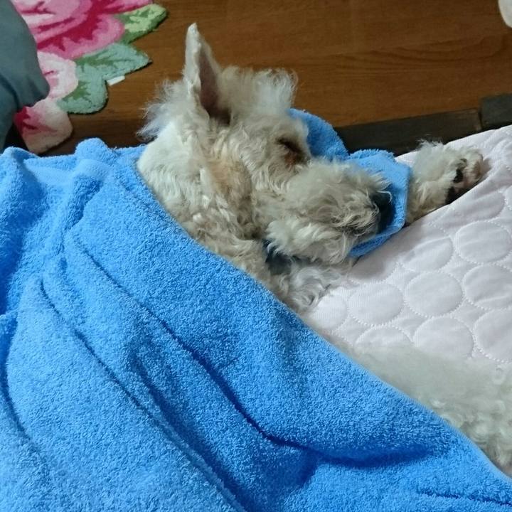 F4a15a03 3337 4b47 8ab0 0ac7a326f515