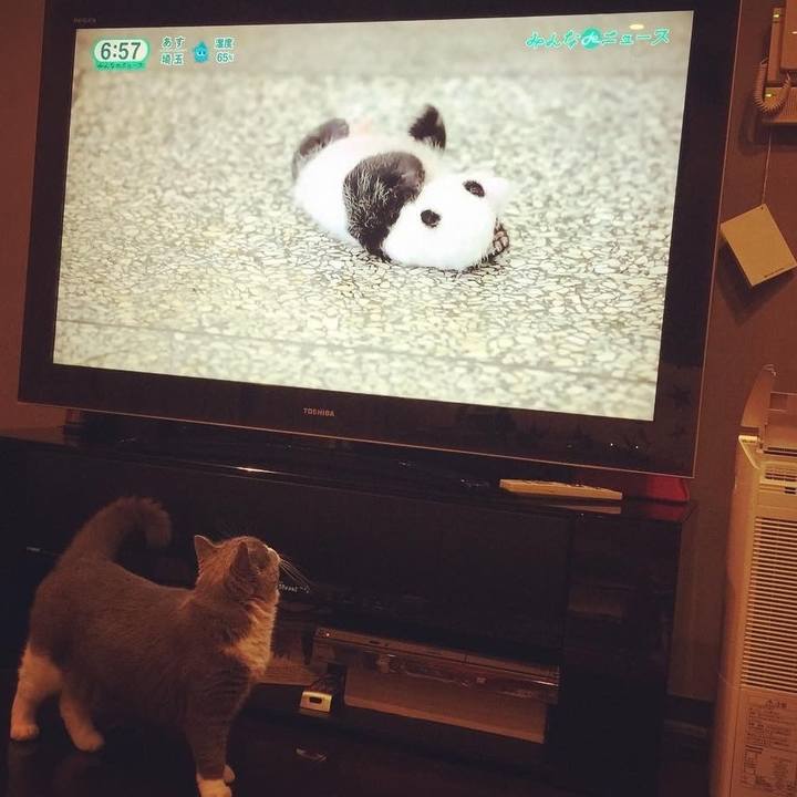 F4a2a0cc 611c 4fb4 b7c1 d835afdddd50