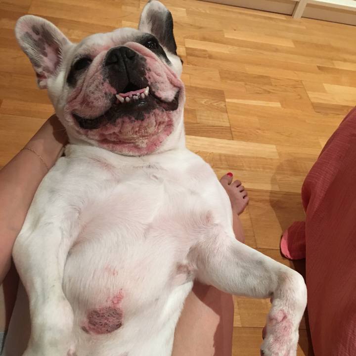 F4a31f17 6c20 4c9f b4c4 ecad52a62f59