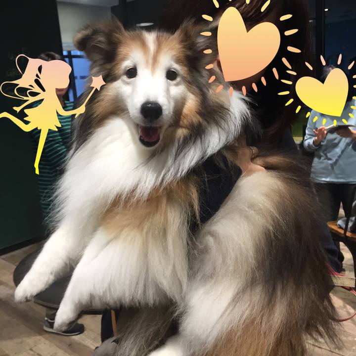 F4a35367 a039 4bc9 b6ca a49c3c8d89db