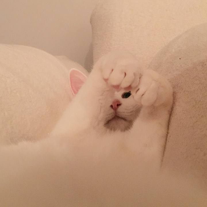 F4a3f33e e50e 47a2 9c45 9d087f897dab