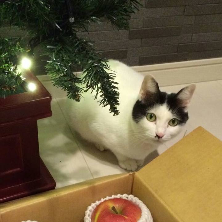 F4a40359 eec9 44f6 8c8a c9d40506ce5c