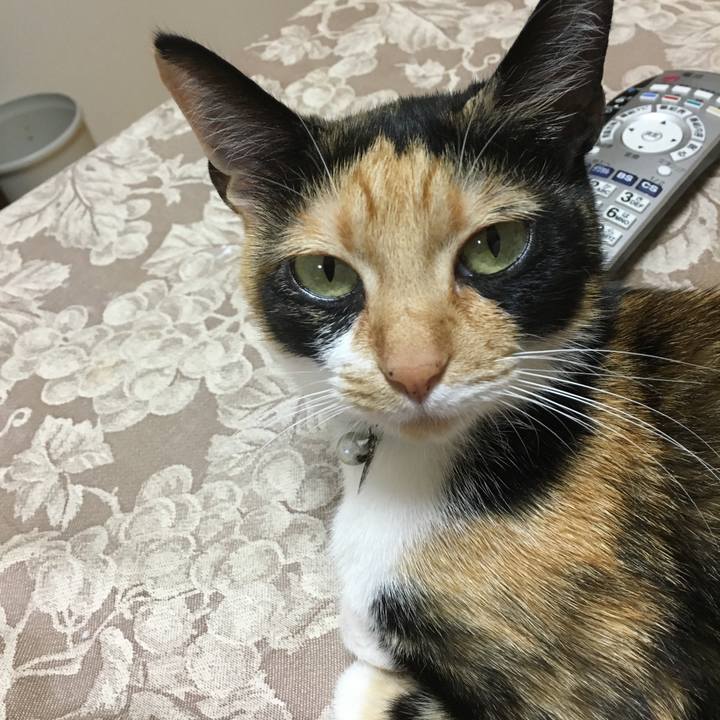 F4a4b039 719e 423a b1a3 57c7982d3ce2