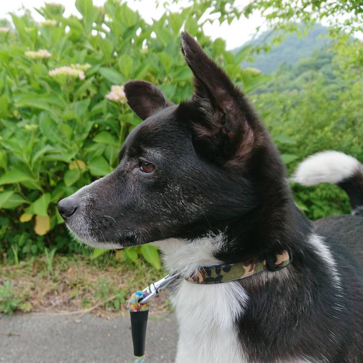 F4a4cf88 ec7a 496f ba5f 0191ac92ec34