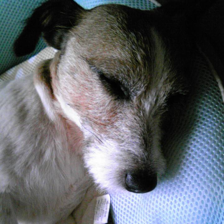 F4a54698 fc58 4fee 9eec 617c3df8b5a8