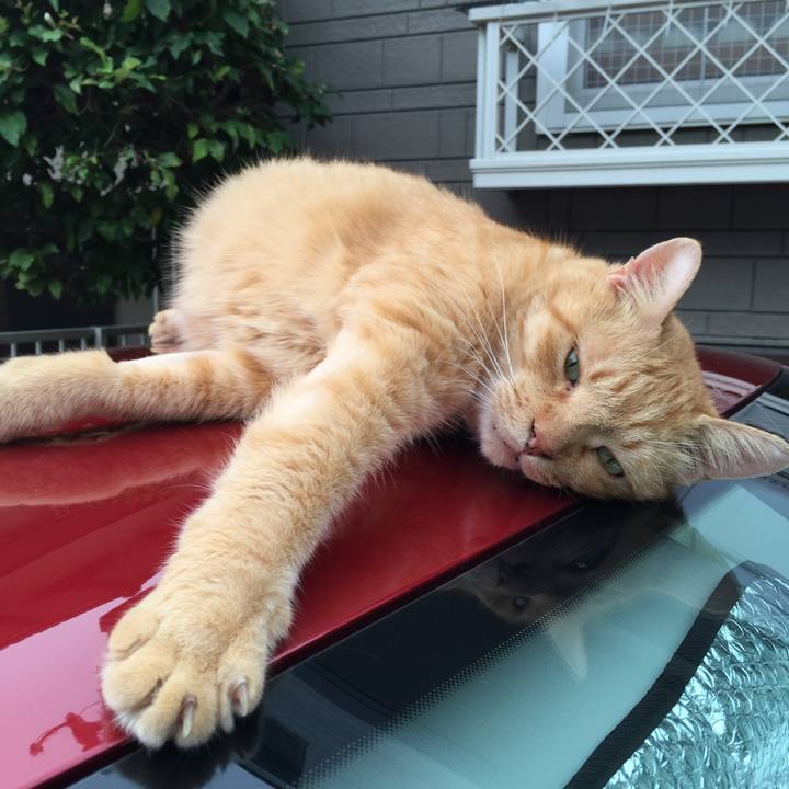 F4a5e6b6 1243 4918 9213 5382619b3f5e