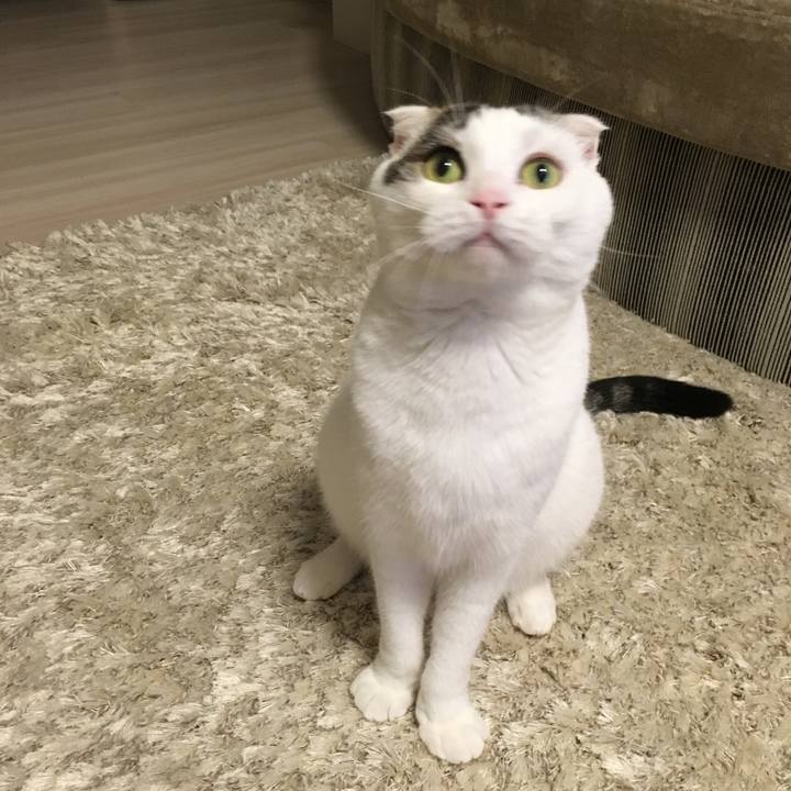 F4a5e731 6cf7 41f5 aeca 030ed90ec744