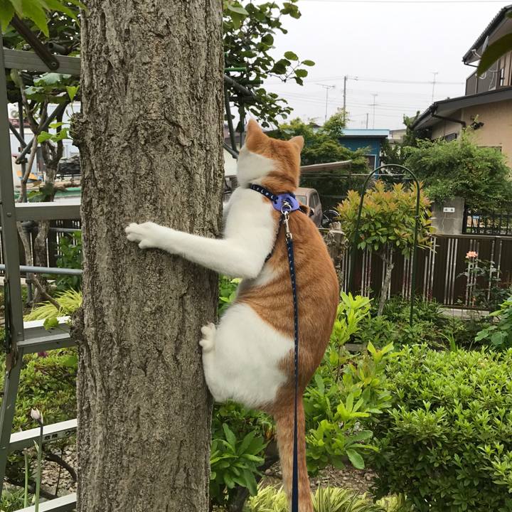 F4a68e7d 2073 4877 9c0a dfdf1ecd8986