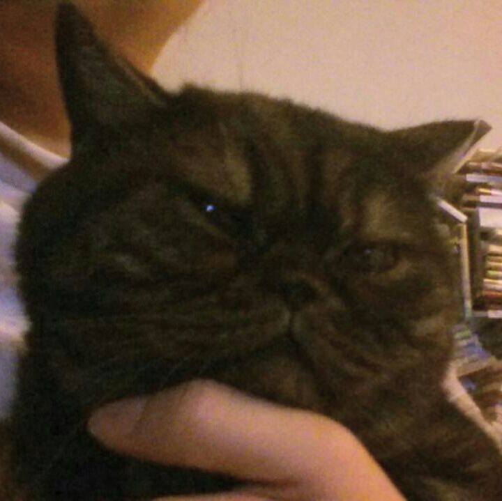 F4a6a482 69ce 4229 9388 d44545def6a5