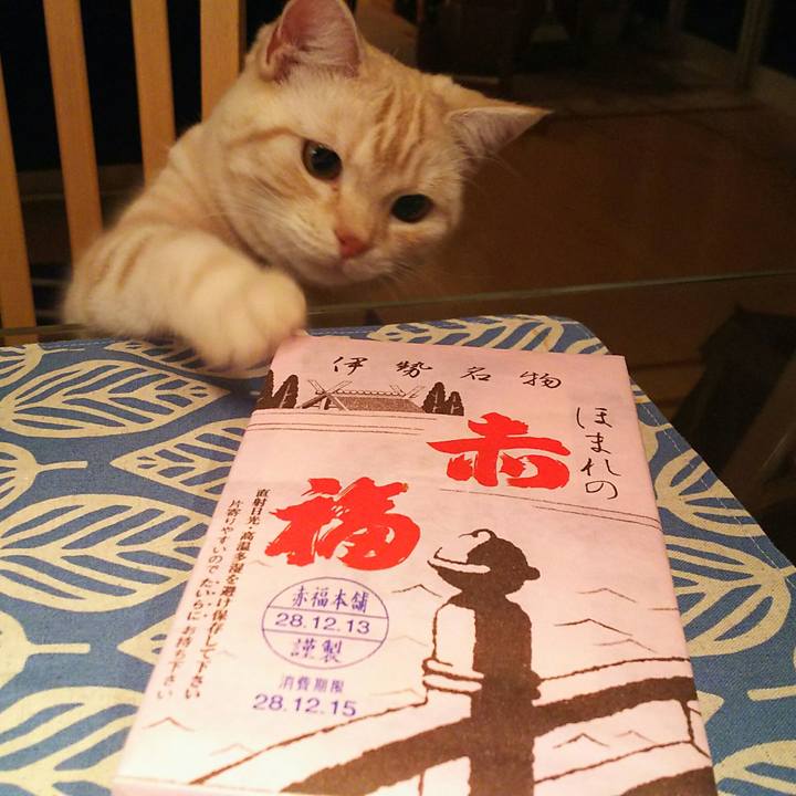 F4a6bc2a 2e98 48d2 8ea7 846083a5f3d3