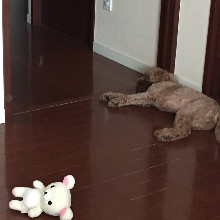 F4a6d69a 3c3f 43fc bc33 8a987280fdb0