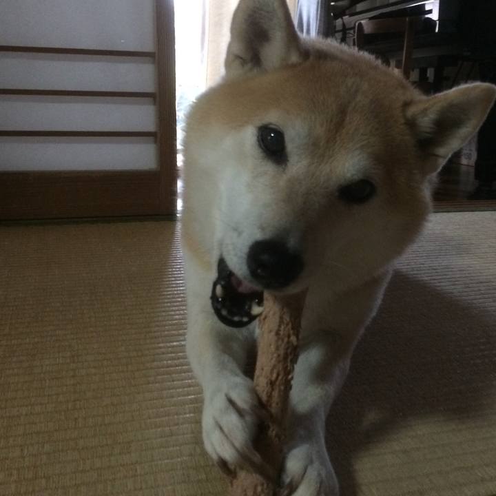 F4a6ffe4 5c73 4442 9216 af3278e7a9ab