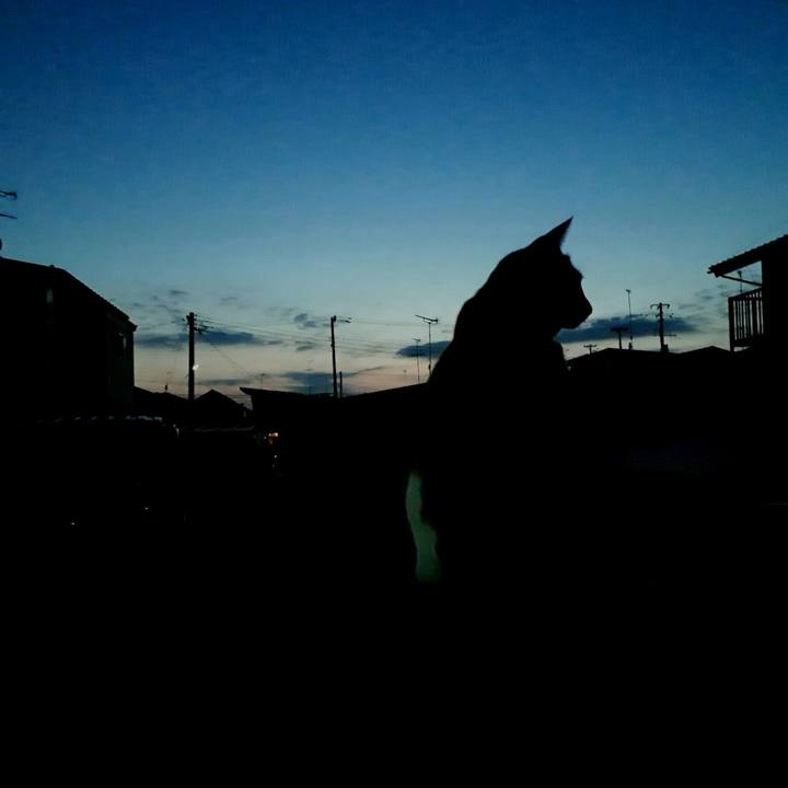 F4a75ad9 ae3a 48df 9631 858cb5a5b08b