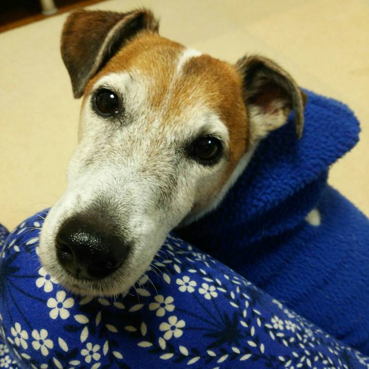 F4a82ef1 be25 42d8 beeb bcca3efab70c