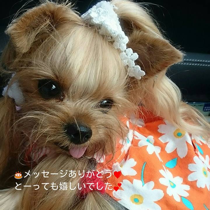 F4a84db3 5e83 4adf 808a d95e1c7b32a1