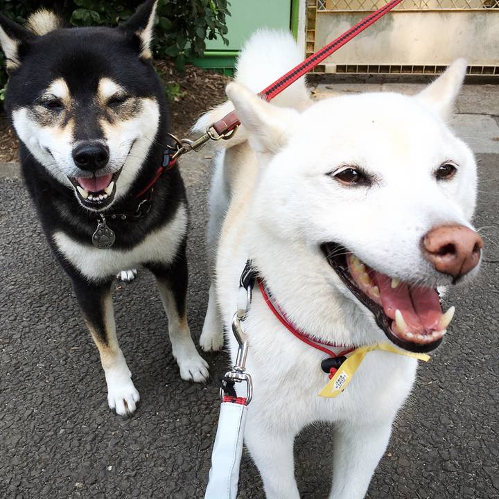 F4a866d1 f22e 4f5a 9133 947e9dbddd4f