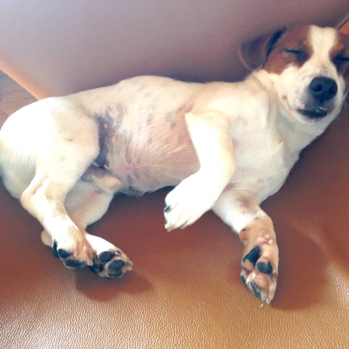 F4a8dad2 3b17 4630 b4d8 ce65d3bd041c