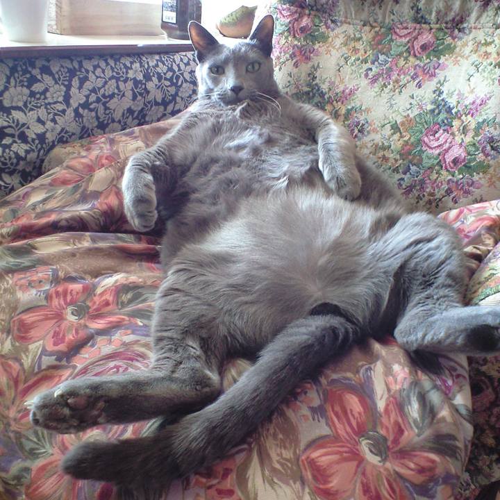 F4a8ea40 814c 4081 a777 c950c6d7958f