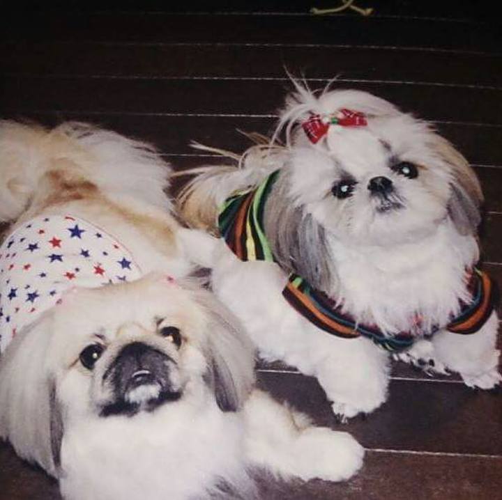 F4a90e5f 8dfb 4599 9ea1 403cfbe322d9