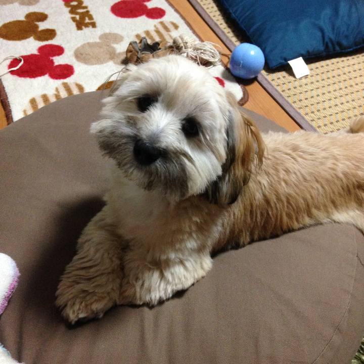 F4aa6bee c123 44e2 9172 034f711eee33